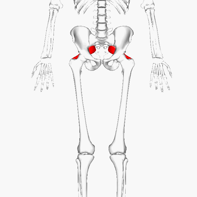 Piriformis Syndrom